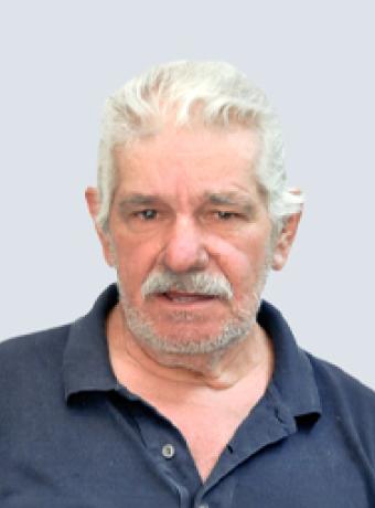 Manuel Figueira Luís