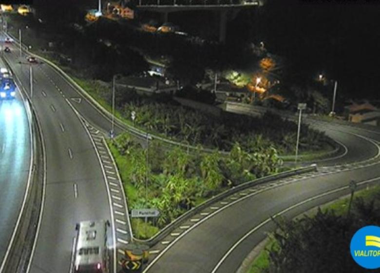 Condutor atropela cão à entrada da via rápida e abandona local