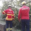 Queimada perto de casas mobiliza bombeiros