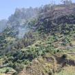 Incêndio nos Canhas ainda mobiliza 25 operacionais