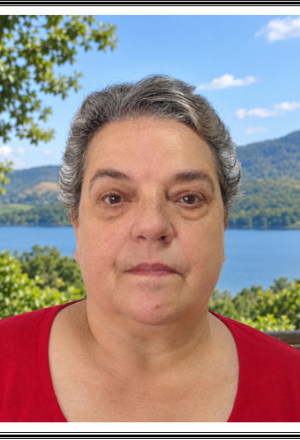 Maria José Figueira de Sousa