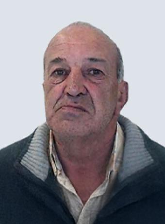 José Avelino Gomes de Freitas