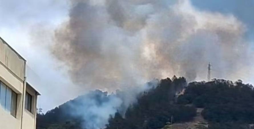 Apanhado incendiário do Caniço