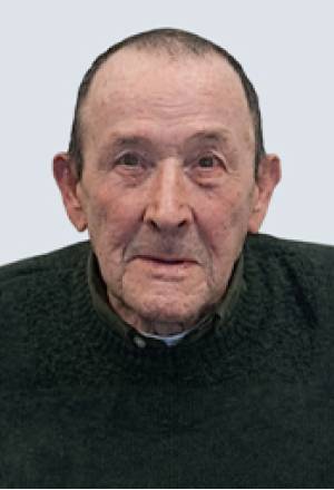 Luís Gomes Camacho