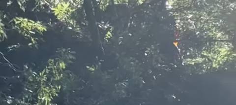 Há novas informações sobre os ocupantes do carro atingido por deslizamento de terras e pela queda de árvores