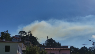 Dois incêndios, um deles de grande dimensão, nas serras do Campanário