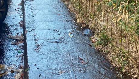 Derrame de água nauseabunda na Rua 5 de Outubro há mais um ano, segundo leitora