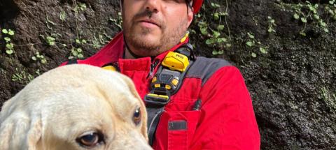 Bombeiros resgatam cão que estava 50 metros abaixo da Levada do Norte