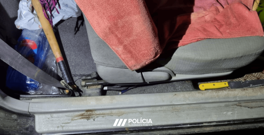 Tinha machado, taco de basebol e faca dentro de carro