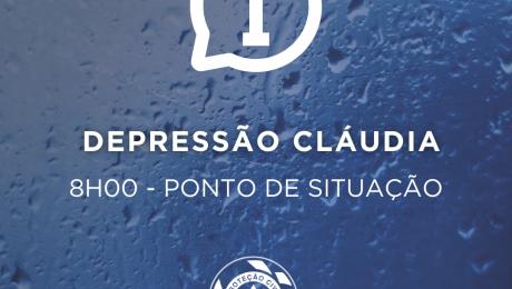 32 ocorrências, a maioria quedas de árvores, algumas delas em cima de carros e casas