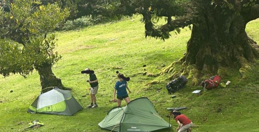 Três turistas apanhados a acampar ilegalmente no Fanal