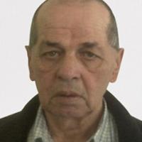José Fernando Vieira Pereira