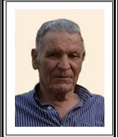 Manuel Estevão Pereira Sardinha