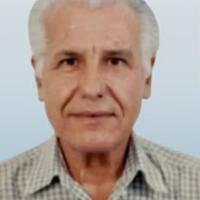 Manuel Bruno de Freitas Quintal