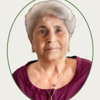 Tereza Rodrigues dos Santos