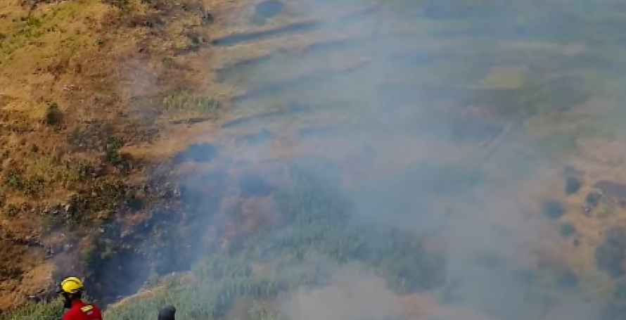 Incendiário da Ponta do Pargo tinha saído de internamento há dois dias e foi apanhado em flagrante