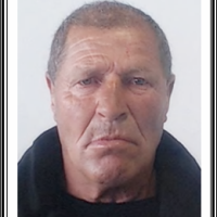 José Manuel Alves Ribeiro